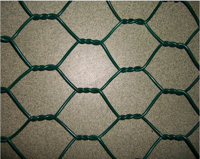 Introduction of hexagonal wire mesh